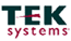 TEK Systems Logo